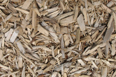 biomass boilers Garmond